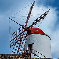 Buy canvas prints of Windmill at The Cactus Gardens by Joyce Storey
