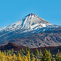 Buy canvas prints of Mount Teide in December by Joyce Storey