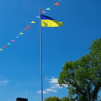 Buy canvas prints of Ukranian Flag flies in Christchurch Harbour by Joyce Storey