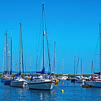 Buy canvas prints of Masts lined up by Joyce Storey