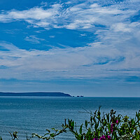 Buy canvas prints of A view from Highcliffe by Joyce Storey