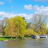 Buy canvas prints of The Thames at Streatley by Joyce Storey