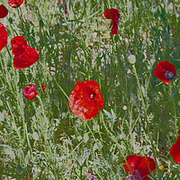 Buy canvas prints of Poppies in Spain by Joyce Storey