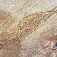 Buy canvas prints of Sand Art by Joyce Storey