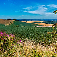 Buy canvas prints of View From The Ridgeway by Joyce Storey
