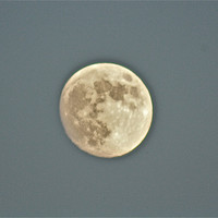 Buy canvas prints of Midday Full Moon. by Irina Walker