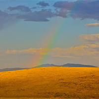Buy canvas prints of High Desert Rainbow by Irina Walker