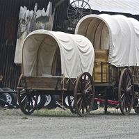 Buy canvas prints of The Covered Wagons by Irina Walker