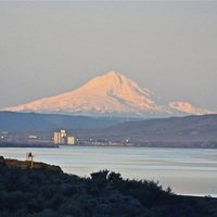 Buy canvas prints of  Mount Hood, Eastern Oregon by Irina Walker