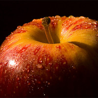 Buy canvas prints of An Apple a day by Steven Shea