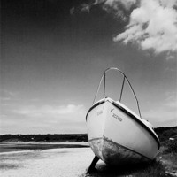Buy canvas prints of Beached by Steven Shea
