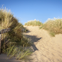 Buy canvas prints of Sand Dunes by Danny Callcut