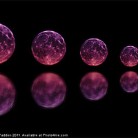 Buy canvas prints of Five reflected moons by Ashley Paddon