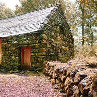 Buy canvas prints of Charcoal Burners Cabin by Brian Beckett