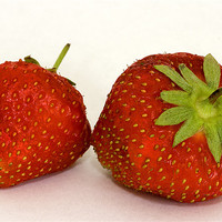 Buy canvas prints of Strawberries by Brian Beckett