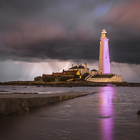 Buy canvas prints of Flash of Pink by Paul Appleby