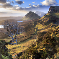 Buy canvas prints of Quiraing Tree by Paul Appleby