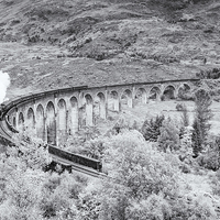 Buy canvas prints of The Jacobite - Glenfinnan Viaduct by Paul Appleby