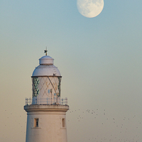 Buy canvas prints of  St. Mary's Lighthouse and the Christmas Moon by Paul Appleby