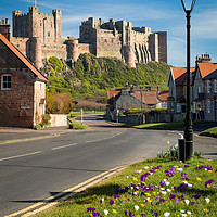 Buy canvas prints of Beautiful Blooming Bamburgh by Paul Appleby