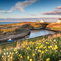 Buy canvas prints of Seaton Sluice in the Spring by Paul Appleby