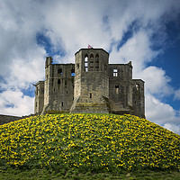 Buy canvas prints of Warkworth Daffodils by Paul Appleby
