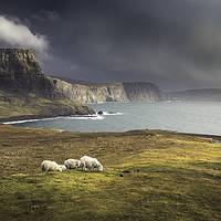 Buy canvas prints of Looking towards Waterstein Head from Neist Point,  by Paul Appleby