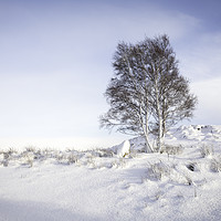 Buy canvas prints of Rannoch Moor Snow Scene  by Paul Appleby