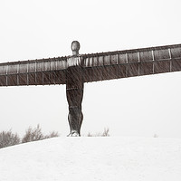 Buy canvas prints of Snow Angel by Paul Appleby