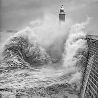 Buy canvas prints of Storm Force Tynemouth by Paul Appleby