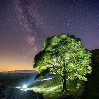 Buy canvas prints of Sycamore Gap on Hadrian's Wall at Night by Paul Appleby