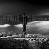 Buy canvas prints of Angel of the North - Mono by Paul Appleby
