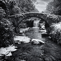 Buy canvas prints of Jesmond Dene in the Snow by Paul Appleby