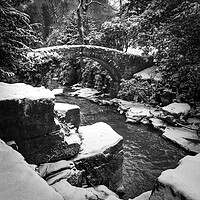 Buy canvas prints of Jesmond Dene in the Snow 2 by Paul Appleby