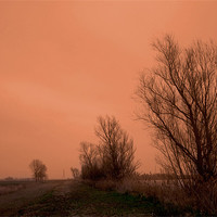 Buy canvas prints of Fenland Drove on a dull day by Terry Pearce