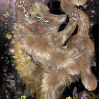 Buy canvas prints of Dream Puss by Darrin miller