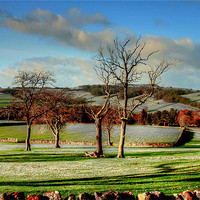 Buy canvas prints of Countryside Landscape by Libby Hall