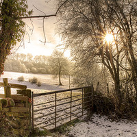 Buy canvas prints of Snowy Landscape by Libby Hall