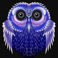 Buy canvas prints of Owl by Julie Hoddinott