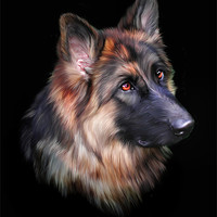 Buy canvas prints of German Shepherd by Julie Hoddinott