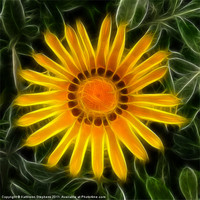 Buy canvas prints of Sunny and Bright by Kathleen Stephens