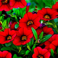 Buy canvas prints of Garden Red by Kathleen Stephens