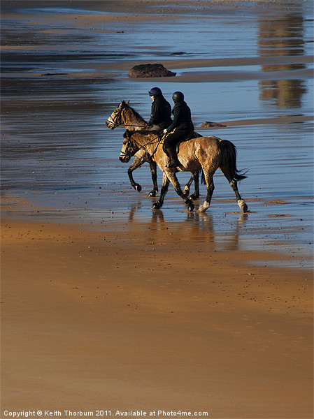 Horses on Beach Picture Board by Keith Thorburn EFIAP/b
