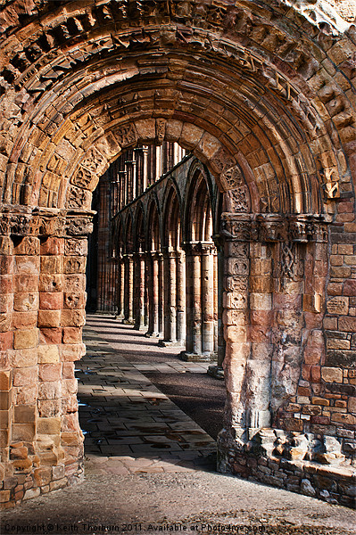 Inside Jedburgh Abbey Picture Board by Keith Thorburn EFIAP/b