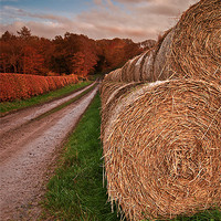 Buy canvas prints of Hay Stacks by Keith Thorburn EFIAP/b