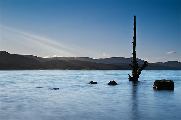 Loch Rannoch Lighting of Tree Picture Board by Keith Thorburn EFIAP/b