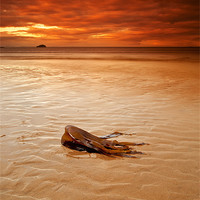 Buy canvas prints of West Barns Beach by Keith Thorburn EFIAP/b