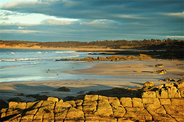 Gullane Beach at Evening Picture Board by Keith Thorburn EFIAP/b