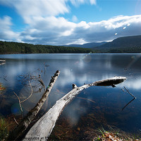 Buy canvas prints of Loch an Eilein by Keith Thorburn EFIAP/b