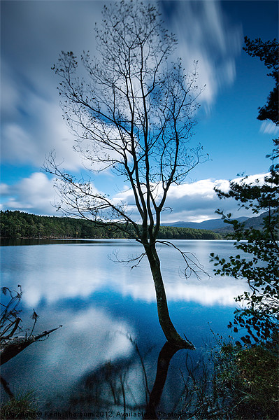 Loch an Eilein Picture Board by Keith Thorburn EFIAP/b